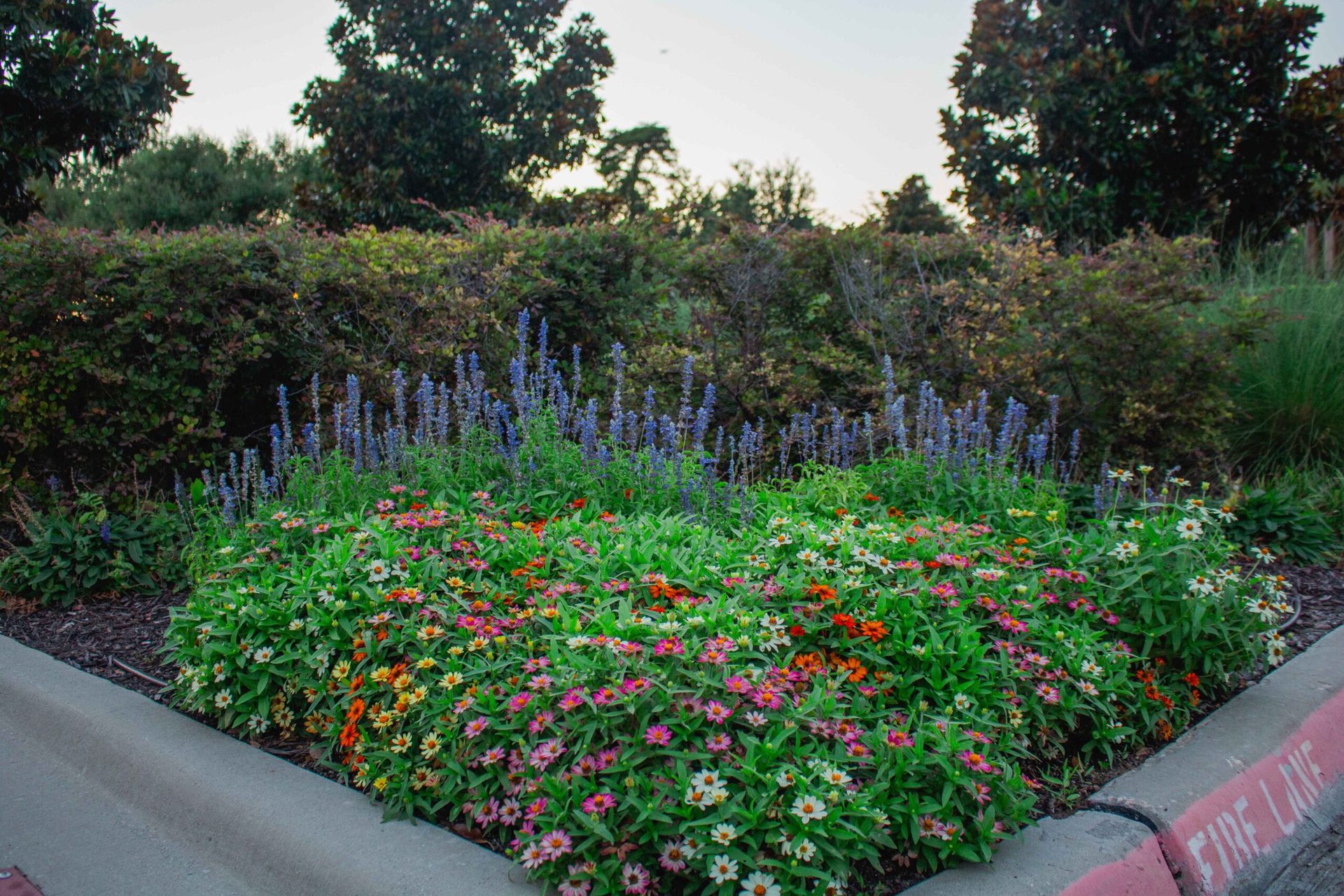 Commercial landscape maintenance investment