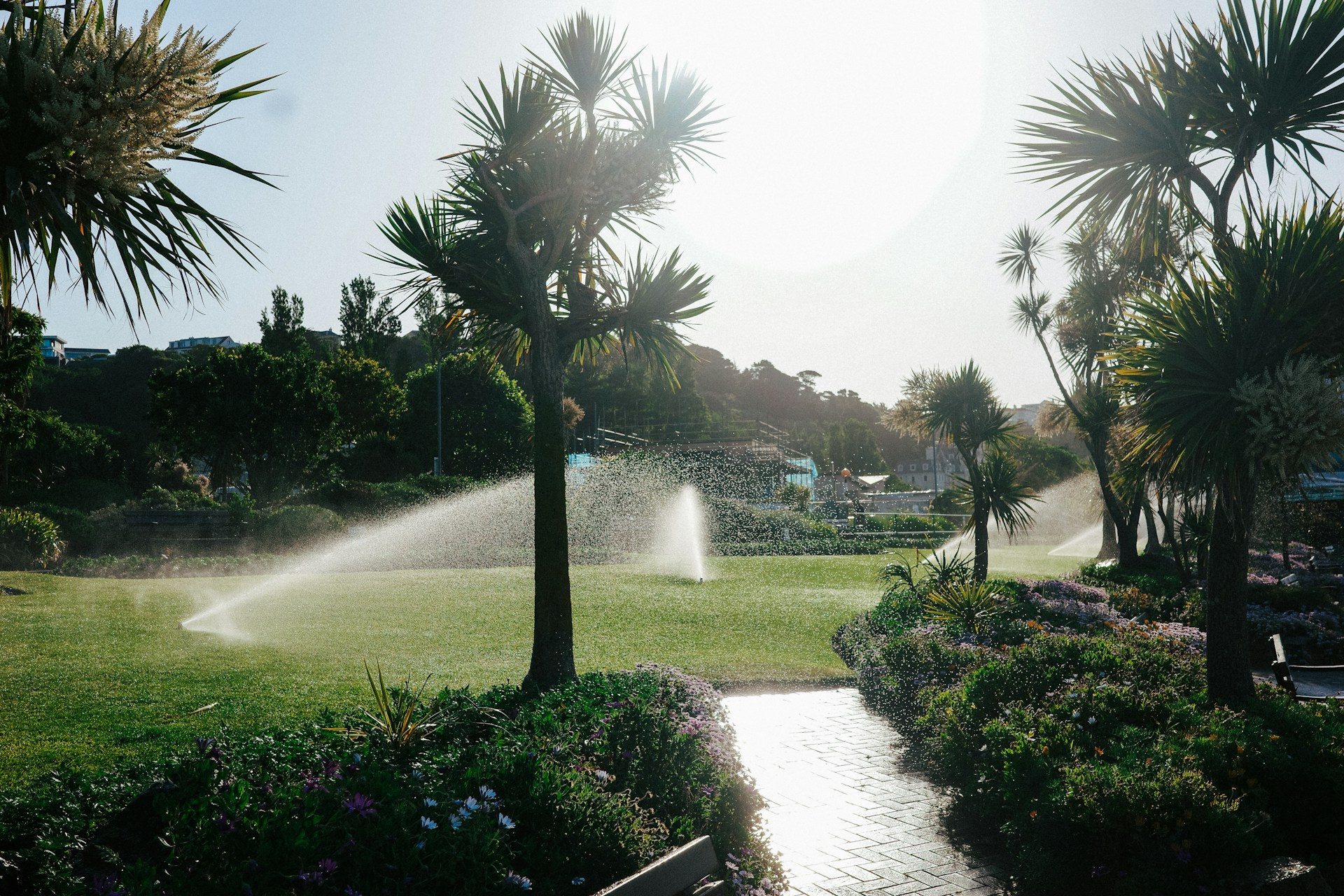 Commercial Sprinkler Repair & Installation