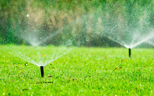 Choosing the Right Sprinkler System for Your Property: Factors to Consider