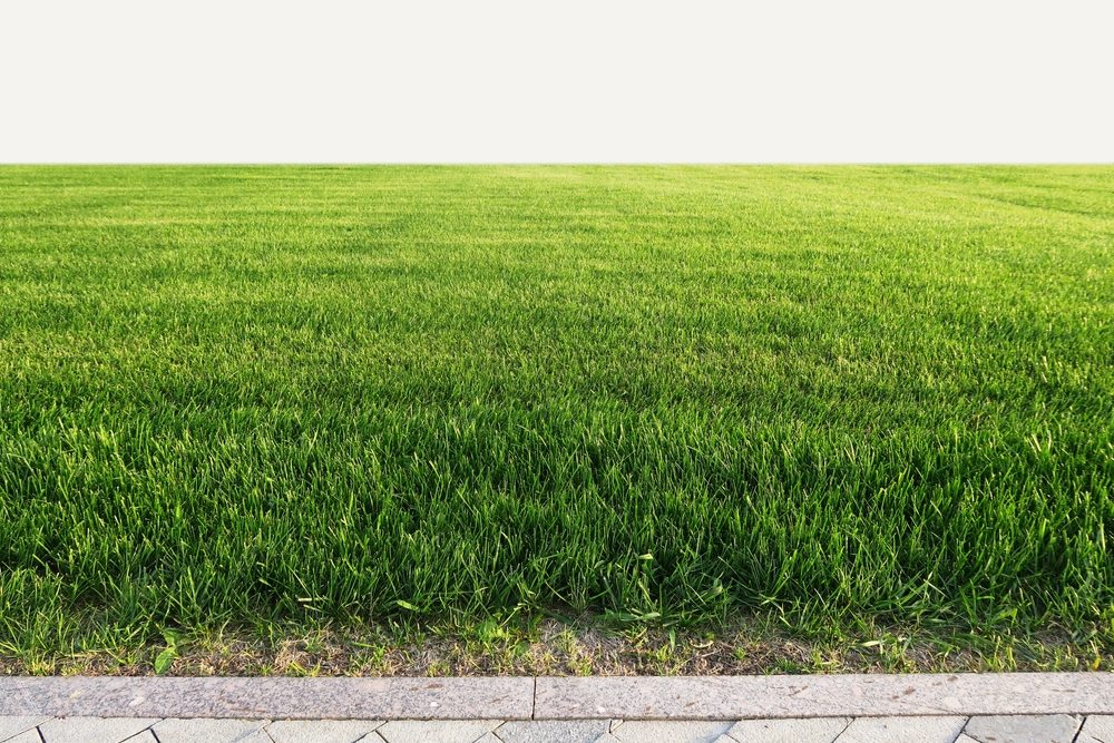 Enhancing Dallas Greens: Why a Top-Notch Chemical Program is Essential for Turf Health