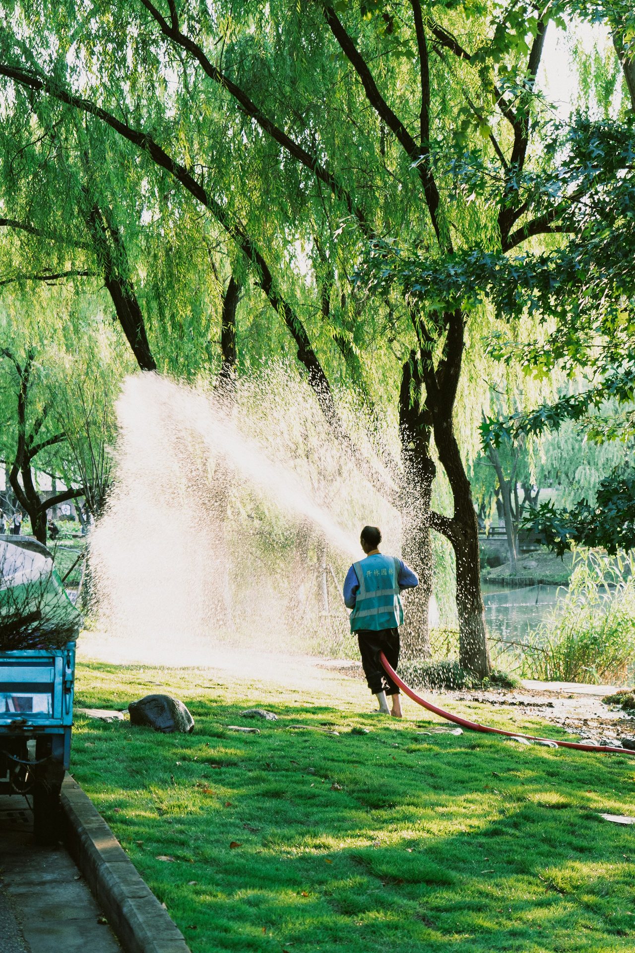 Commercial landscape design Dallas Fort Worth