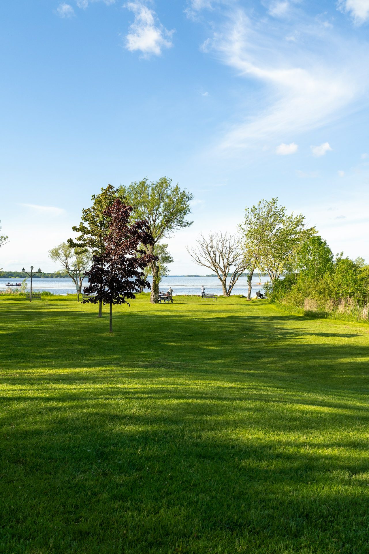 Lush commercial lawn fertilizing Dallas