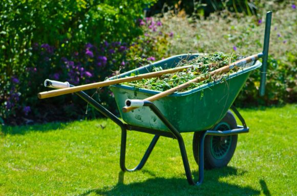 Bed Prep & Wheelbarrow Service