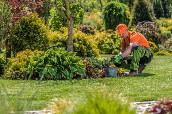 Planting commercial landscape by LPT Inc