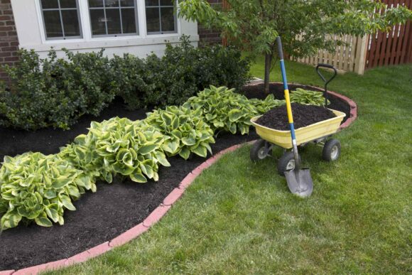 Planting commercial landscape by LPT Inc