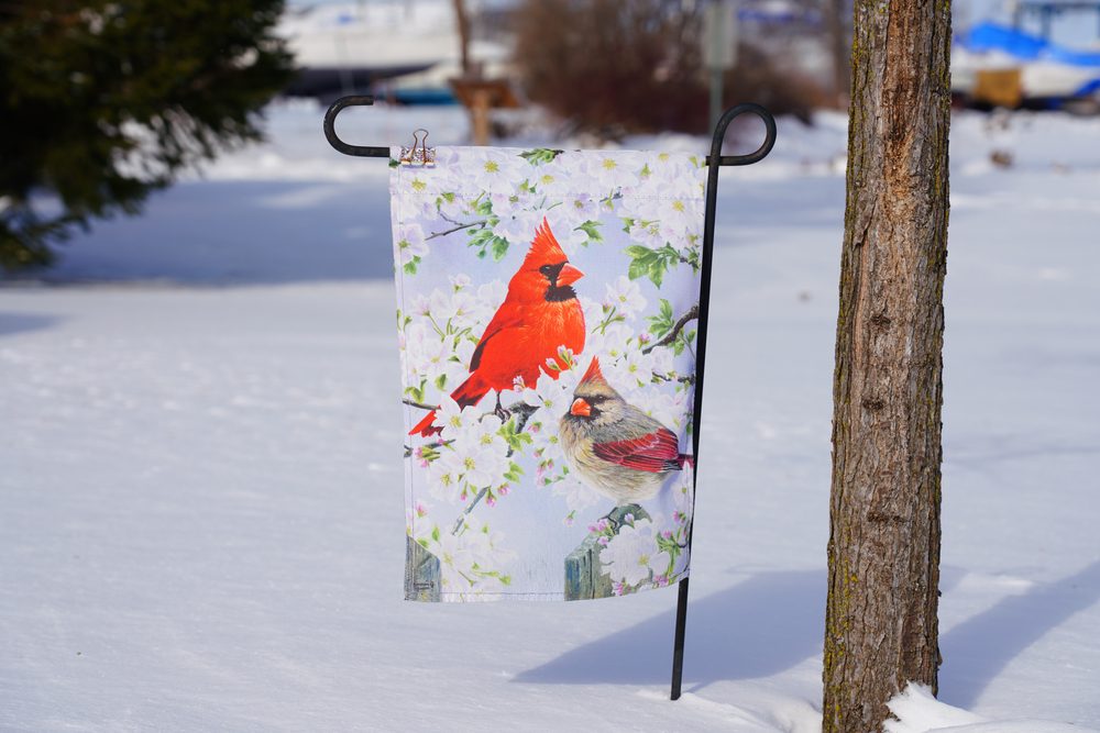 How to Prepare Your Landscape for Winter Weather
