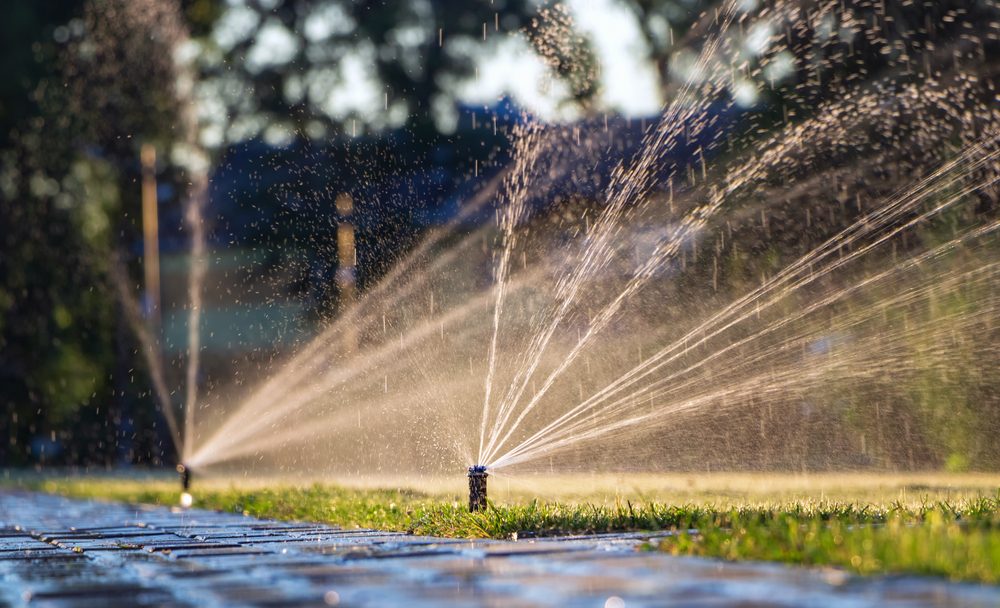 Spring Irrigation: Why a Pre-Season Check is Essential for a Thriving Dallas Landscape