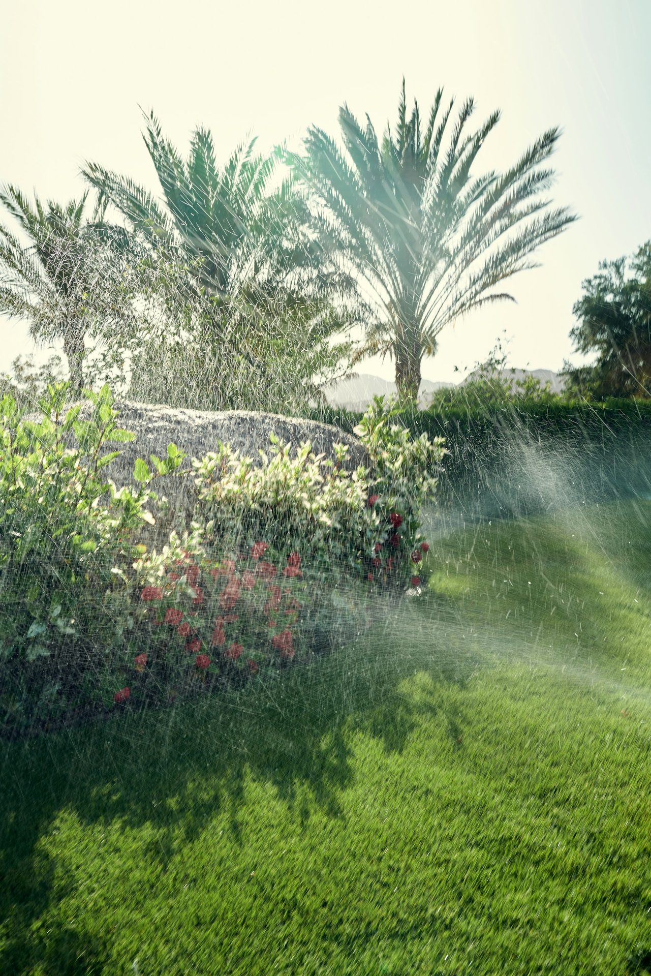 Landscape design maintenance Dallas