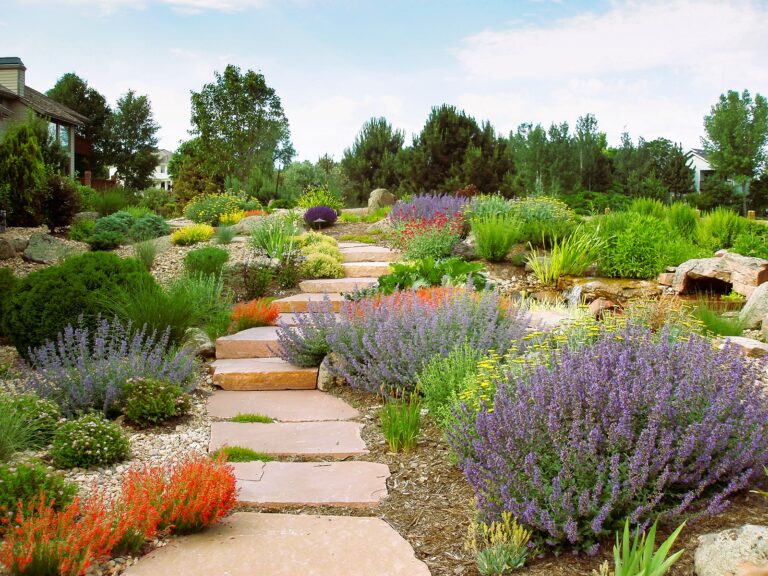 Transform Your Property with Water-Wise Landscaping: Dallas Best Landscaping Secrets