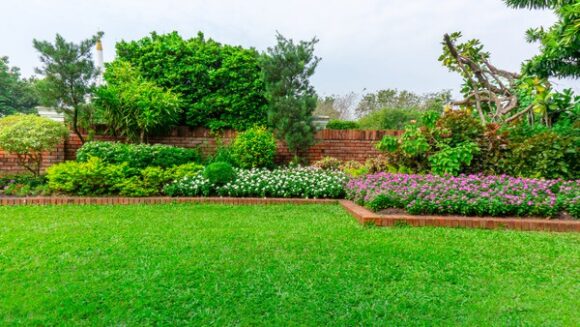 Commercial Landscape Maintenance Services in Allen, TX