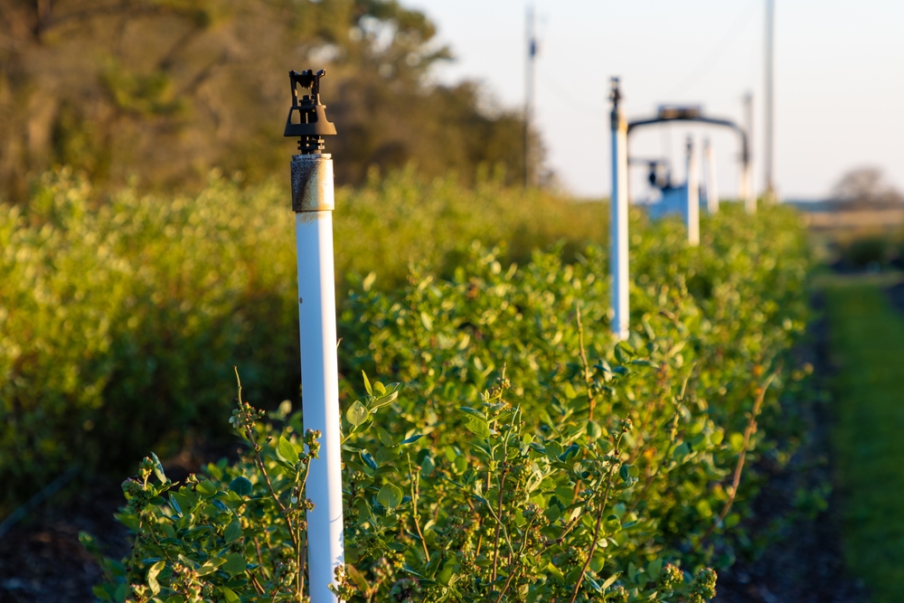 The Role of Professional Irrigation Maintenance in Commercial Property Success