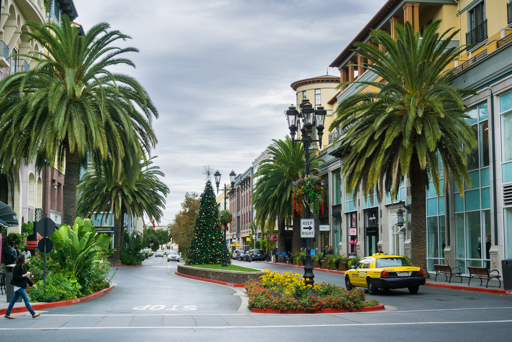 Sustainable Landscaping Solutions for Dallas Commercial Properties