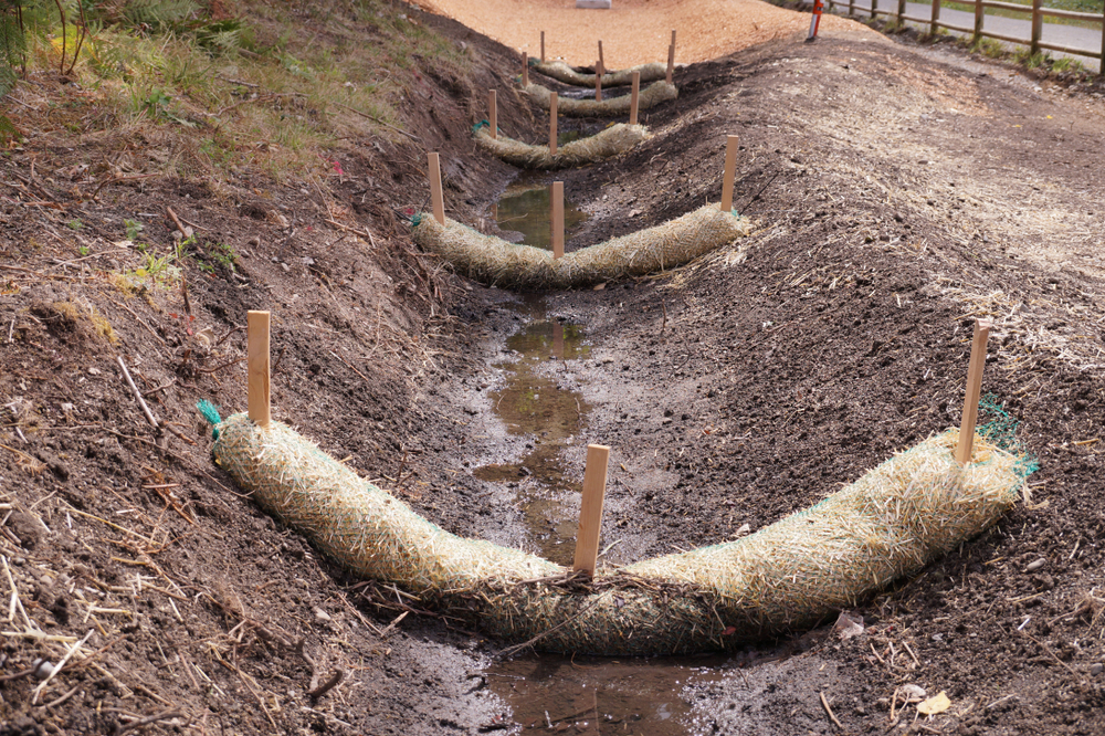 How Proper Drainage Solutions Can Prevent Erosion and Property Damage