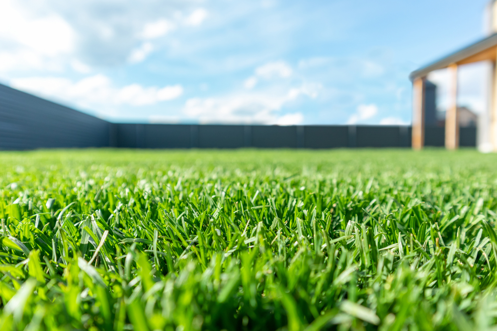 The Science Behind Fertilizing: How Nutrients Improve Your Lawn