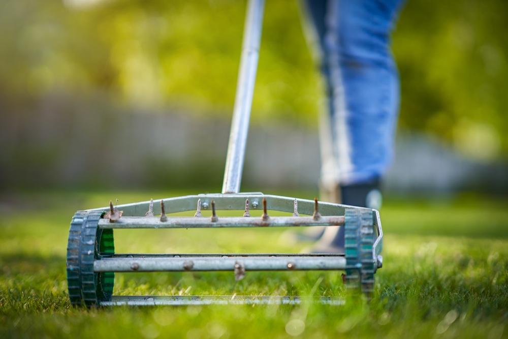 Picture,of,grass,aerator,on,the,green,lawn