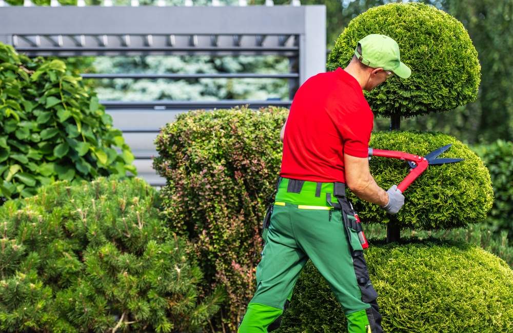 Protecting Your Investment: The Importance of Regular Landscape Maintenance