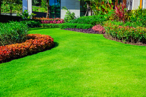 Front,yard,,landscape,design,with,multicolored,shrubs,intersecting,with,bright