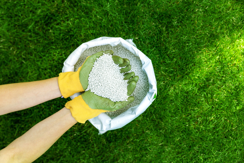 Top 10 Benefits of Professional Fertilizing Services