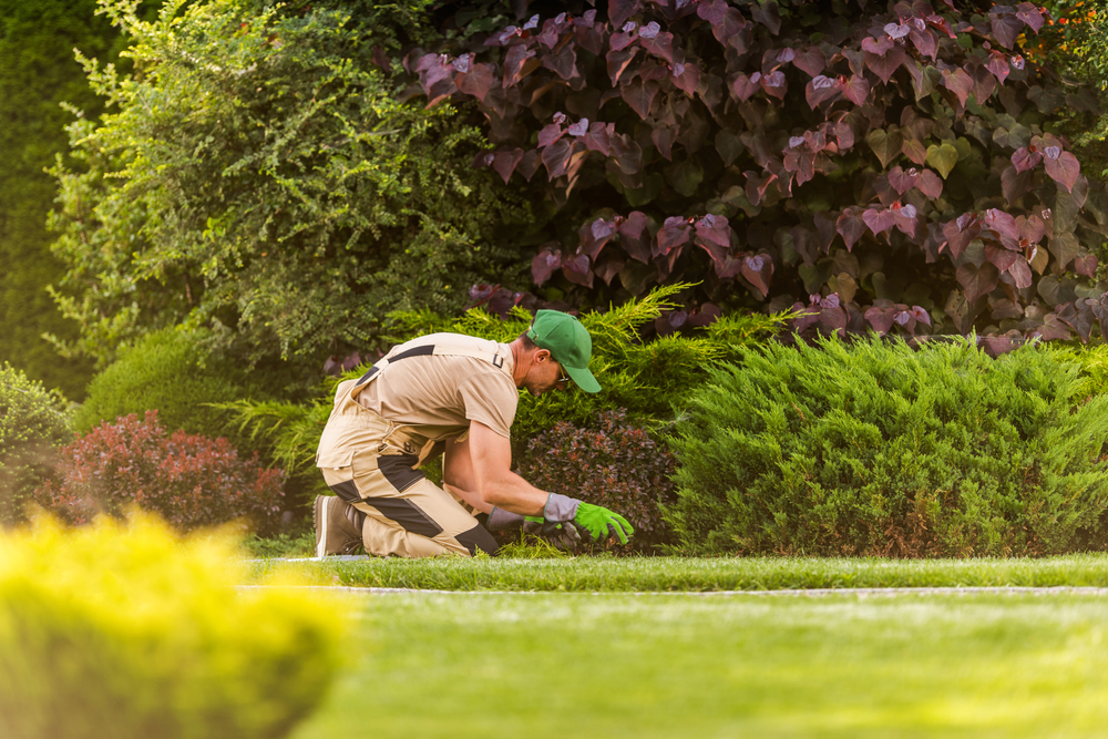 Seasonal Landscape Maintenance: What to Do When