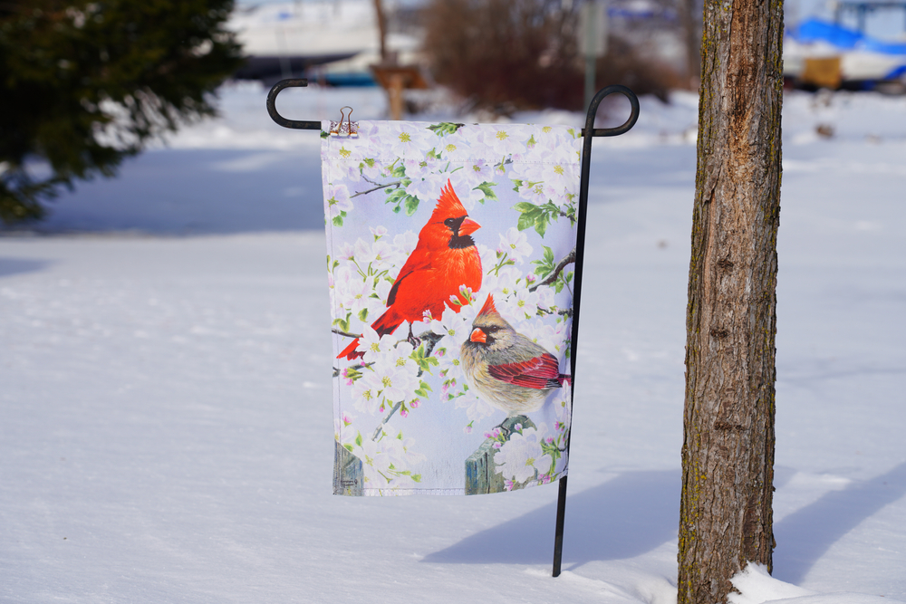 Red,cardinal,garden,banner,flag,sits,in,the,snow,during