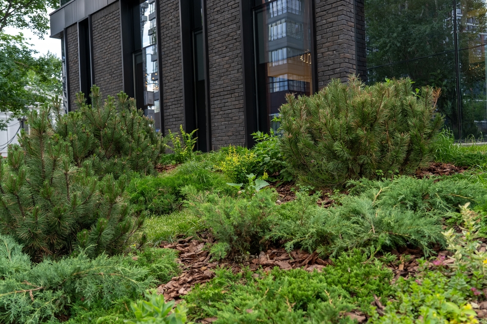 Why Commercial Properties Need Full-Service Grounds Maintenance Year-Round